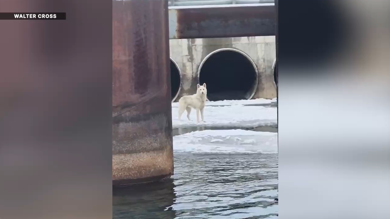 Screenshot 2026-02-23 at 8.57.45 PM.png