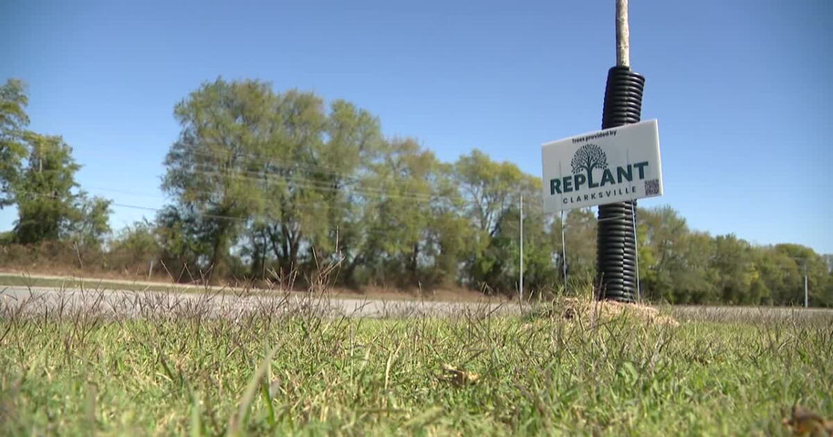Replant Clarksville receives state matching grant to help plant 1,000 ...