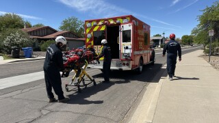 Bee sting mountain rescue.jpeg