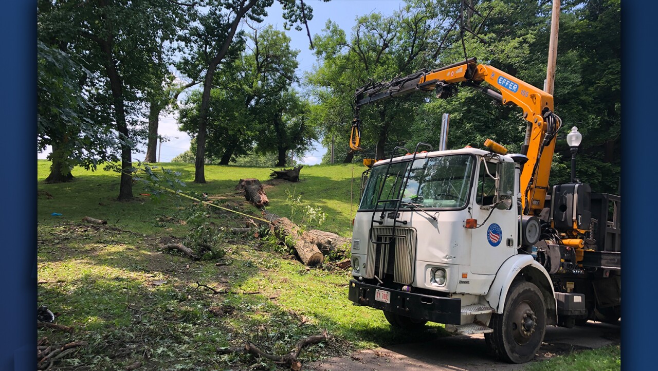Cleveland tree trimming accident 1.jpg