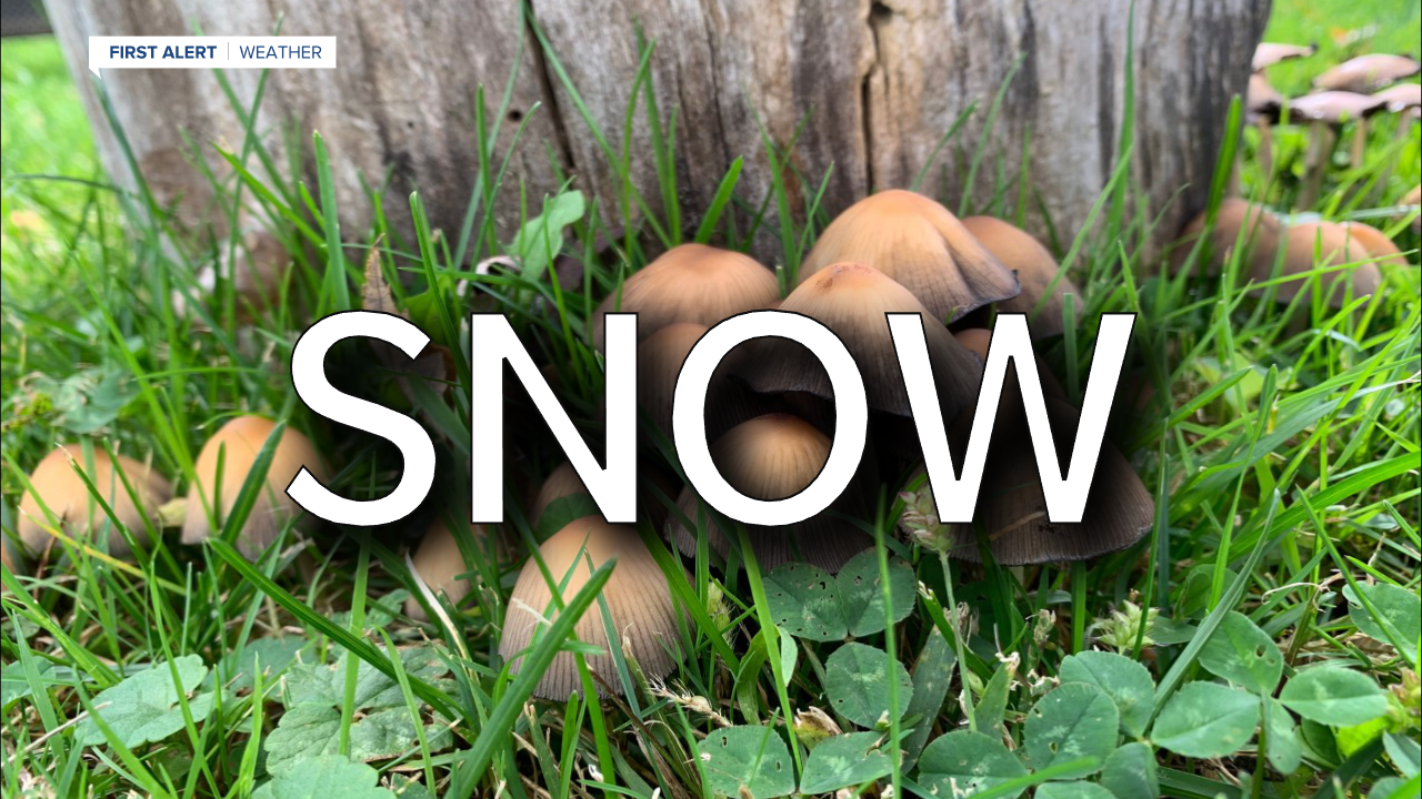 Mushrooms