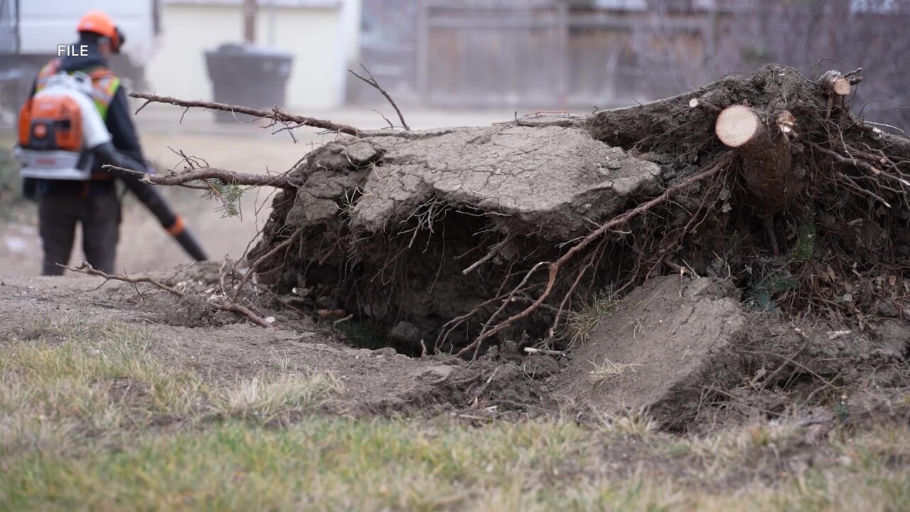 Tallying the damage from December's wind storm