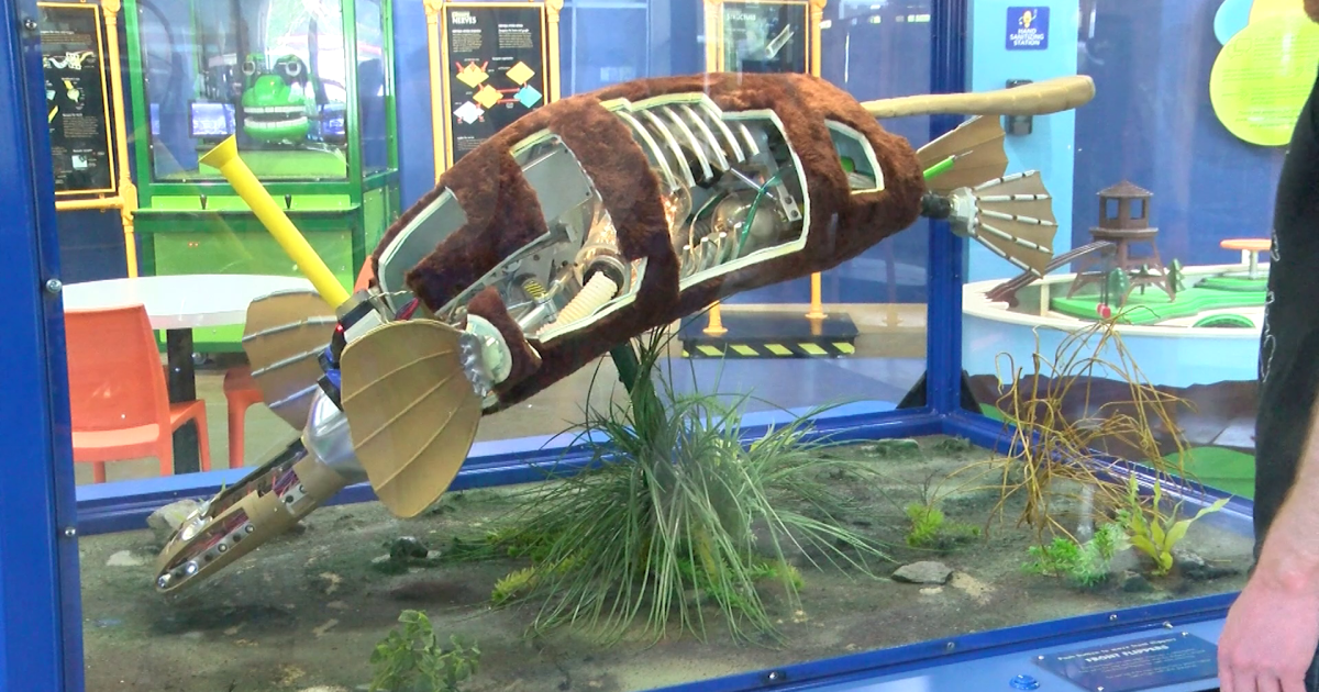 Robot animals take over ExplorationWorks - Vimarsana News