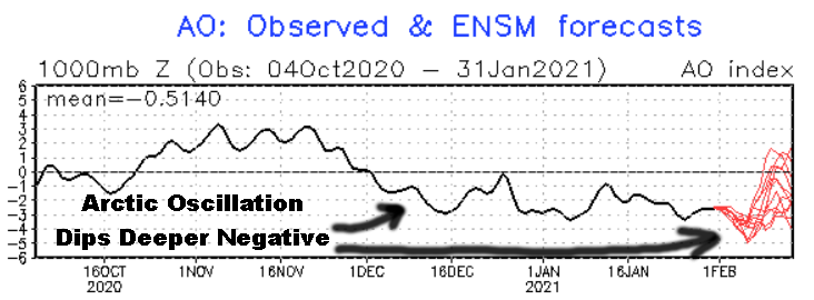 AO Dips Negative