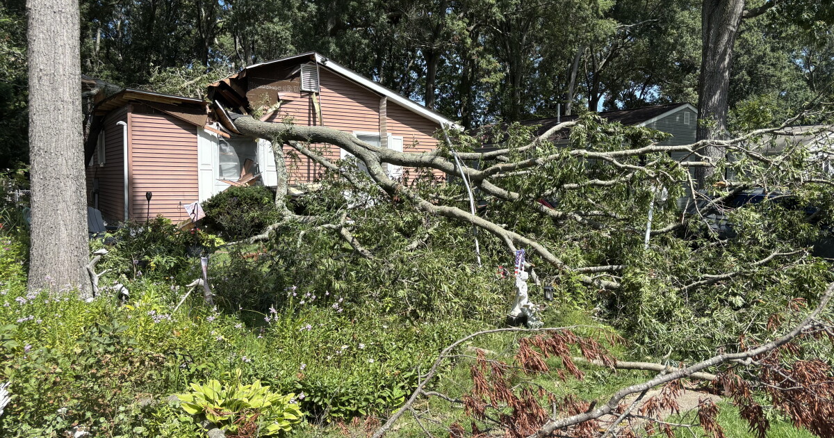 Strong storm topples tree into bedroom, narrowly missing woman inside