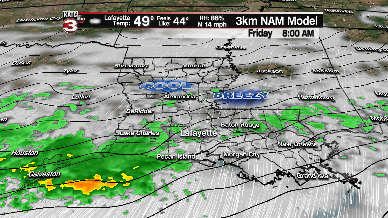 NAM Futurecast Rob2.png