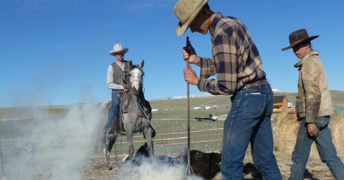 Montana farmers helping Israel tend to farms amid war - Vimarsana News