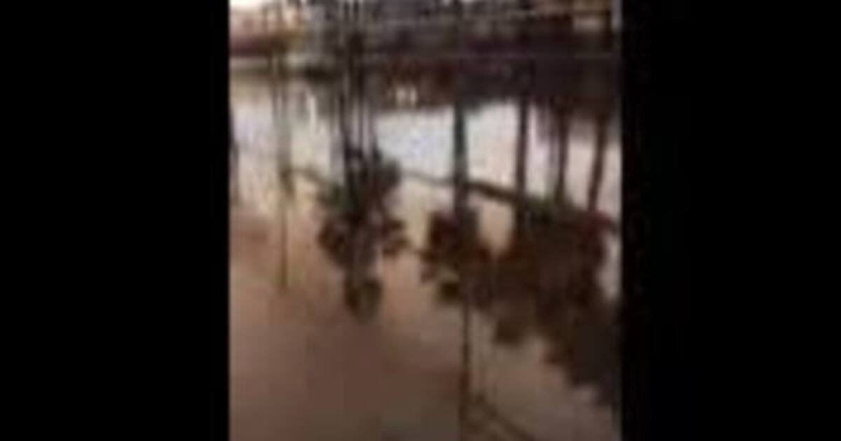 VIDEO: Flooding in Mission Valley