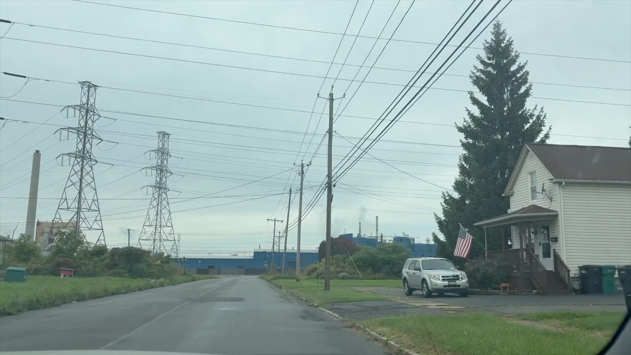 NEARPLANT.jpg