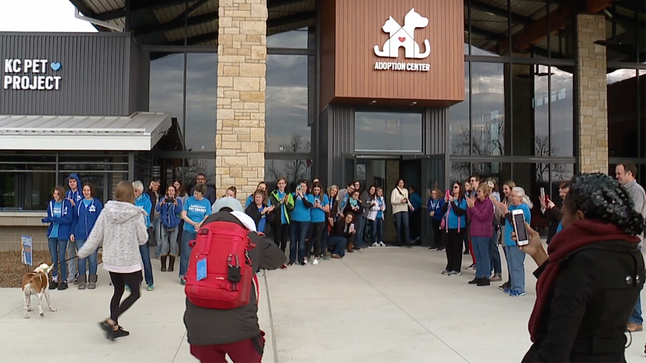 Wayside Waifs Closes To Public Kc Pet Project Consolidated