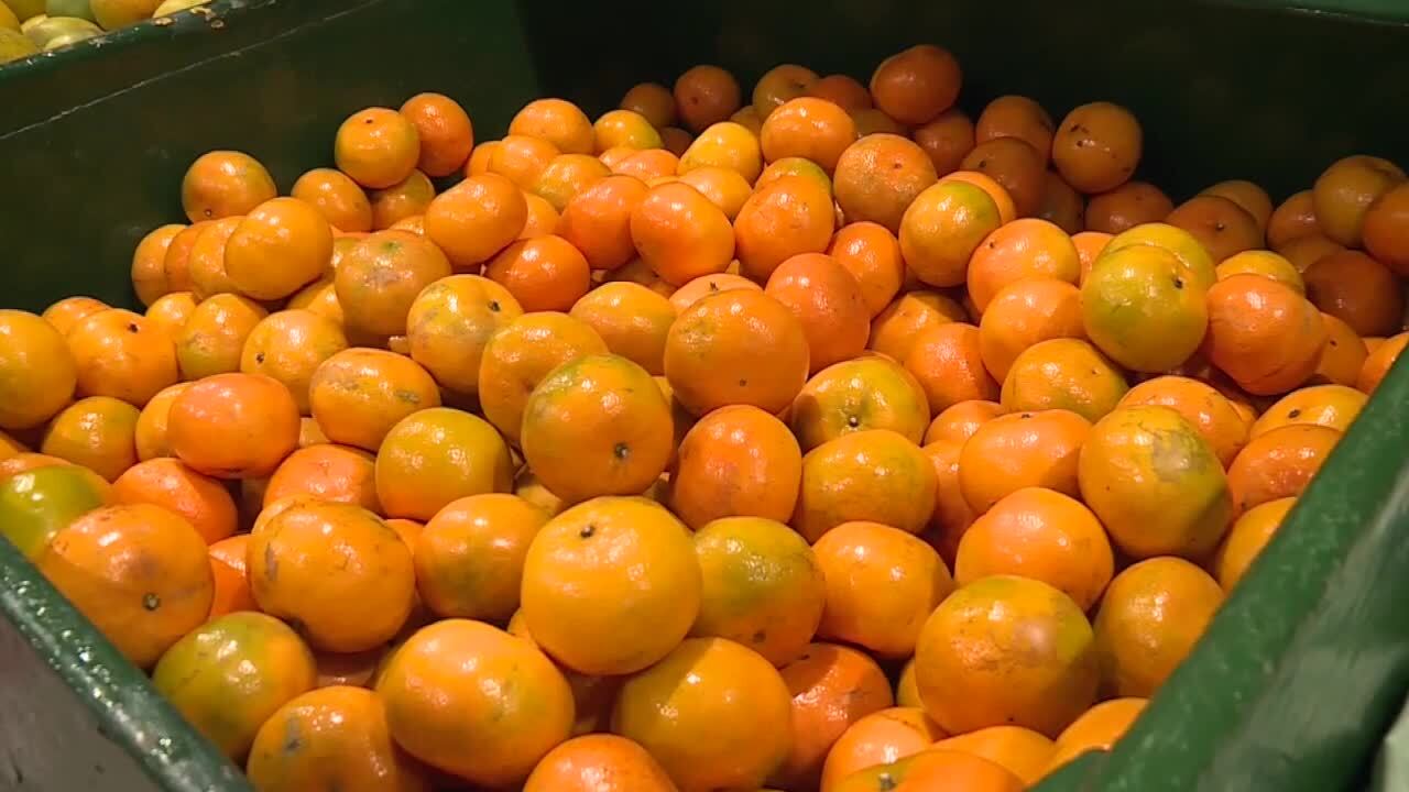 barrel of Florida-grown oranges