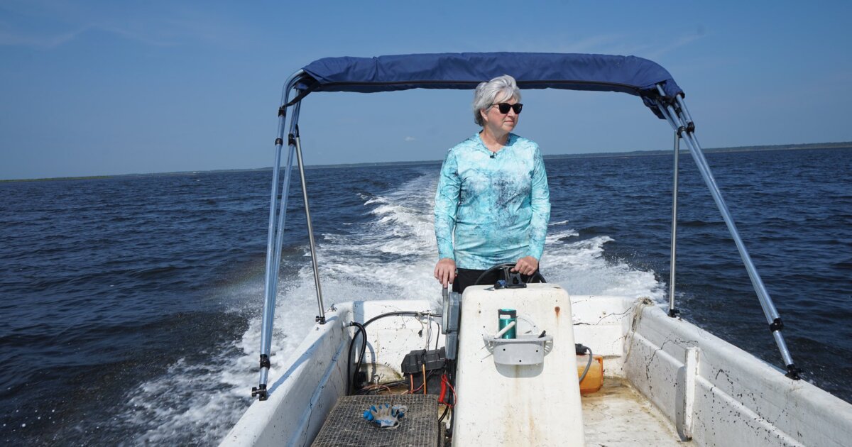 Oystermom, helping create oyster aquaculture in Florida