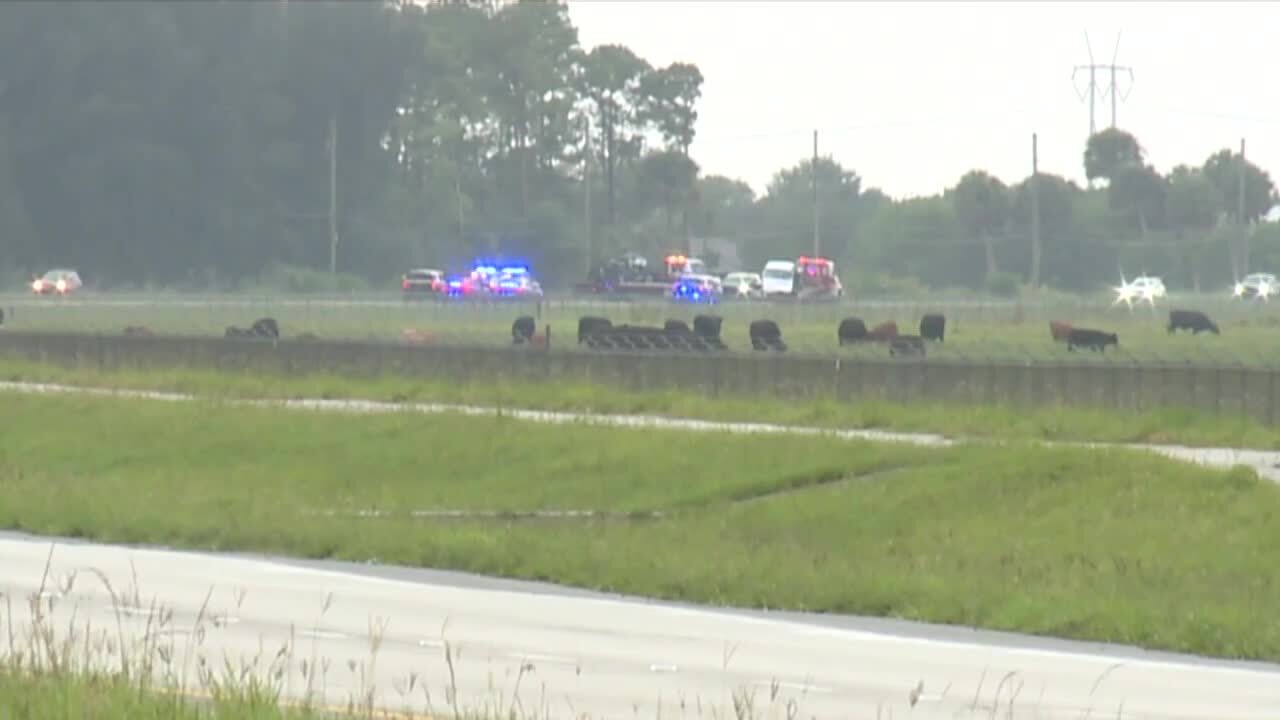 Scene of wrong-way crash that killed FWC off