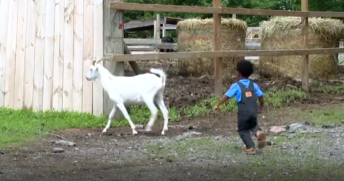Black-owned farm introducing kids to agriculture Black-owned farm introducing kids to agriculture