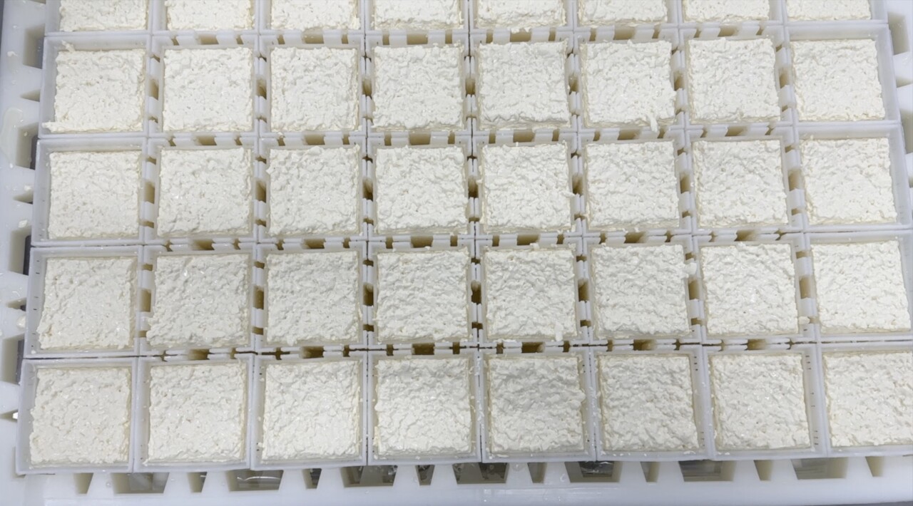 Cheese in a grid at Tulip Tree