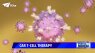 Medical Moment: CAR T-cell therapy