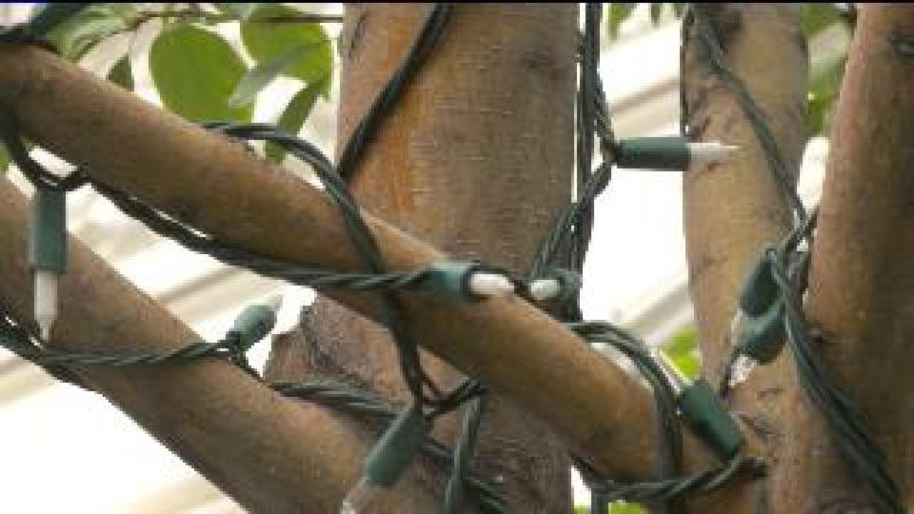 Christmas light installation begins in downtown SLC