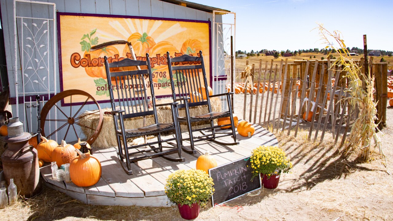 Colorado Pumpkin Patch
