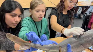 Central Elementary School in Okeechobee is now the only public school in the county to be named a Guy Harvey Conservation School. 