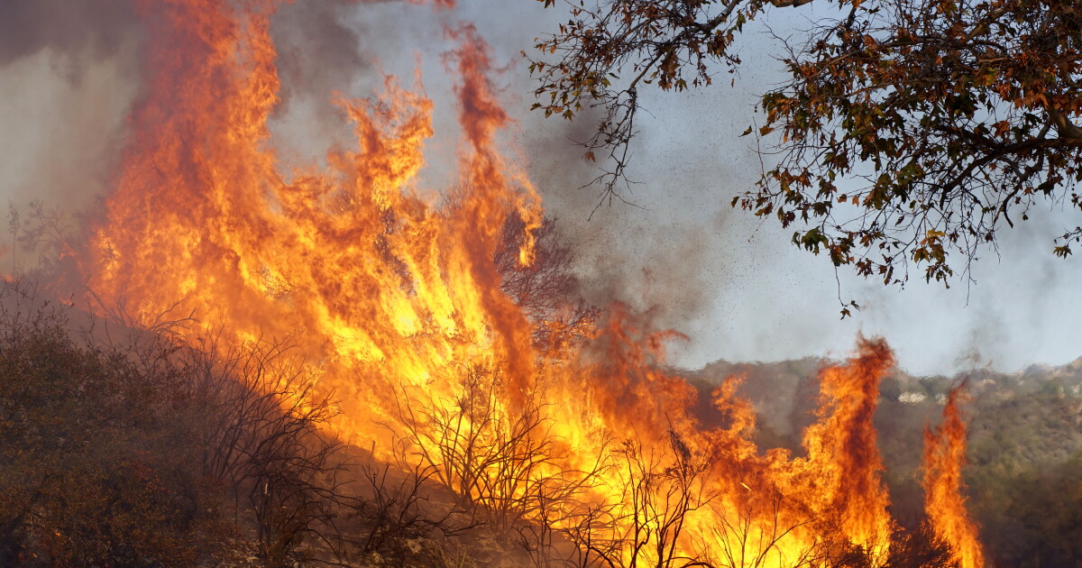 Prescribed Burns over the next month - Vimarsana News