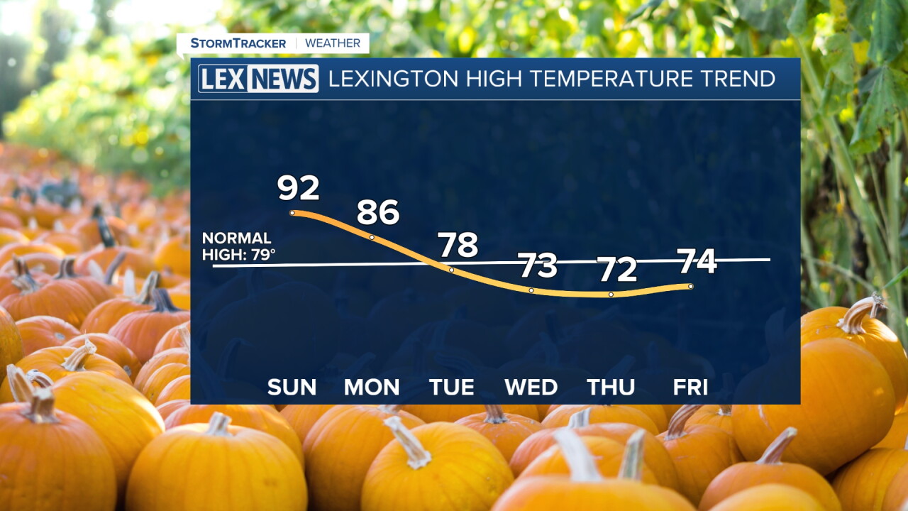 7 DAY HIGHS.jpg
