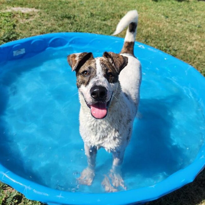 Sammy (2).jpg