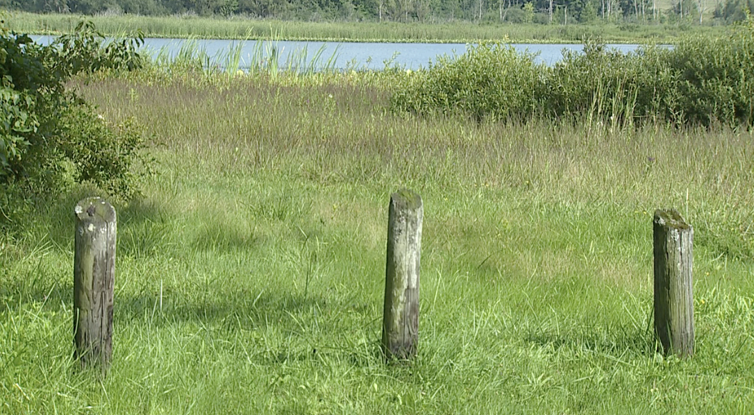 Screenshot 2024-08-16 at 5.29.31 PM.png