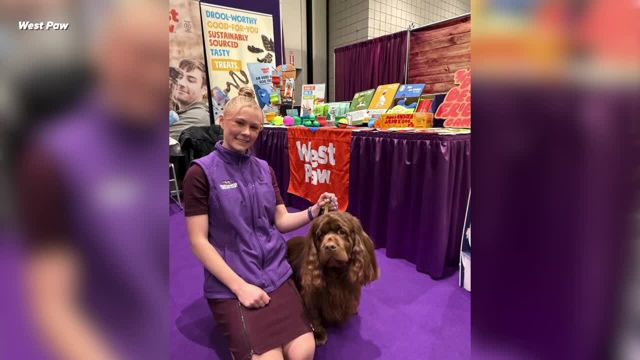 Poster image (100).jpg