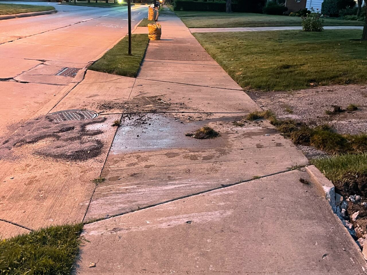 Image from iOS - 2022-07-27T062647.474.jpg