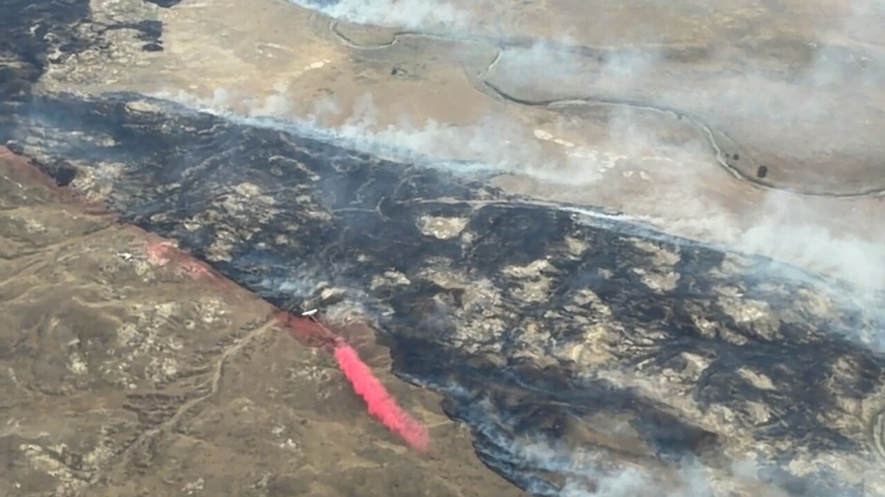 Wildfire