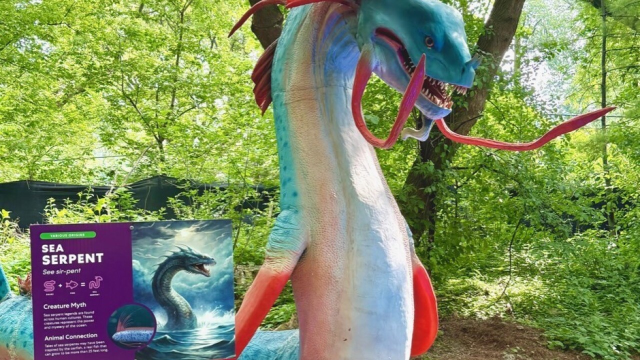Dragon Forest 1.jpg
