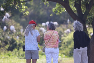 Birdwatchers in Hillsborough County