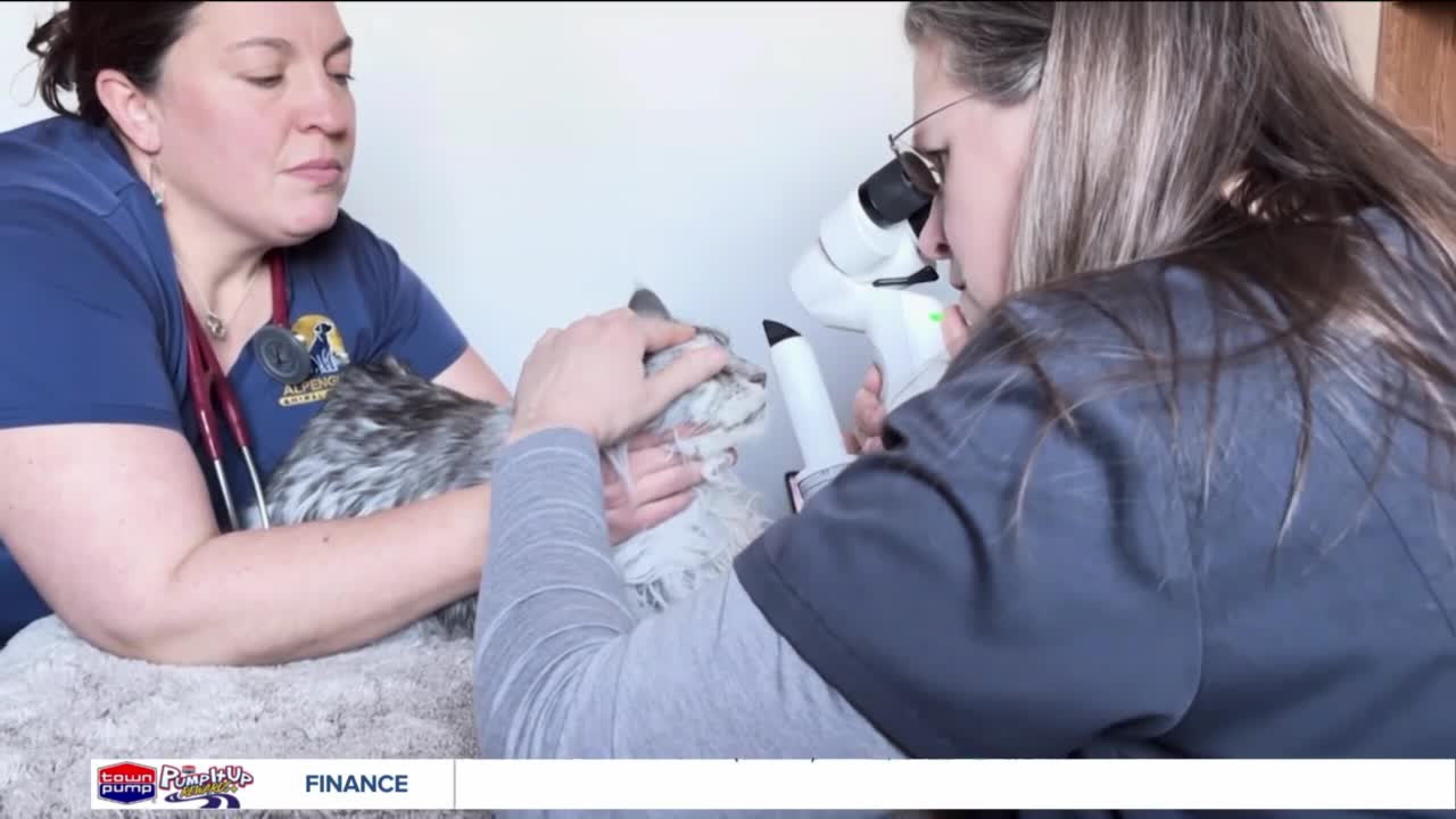 Traveling animal eye specialist comes to Bozeman