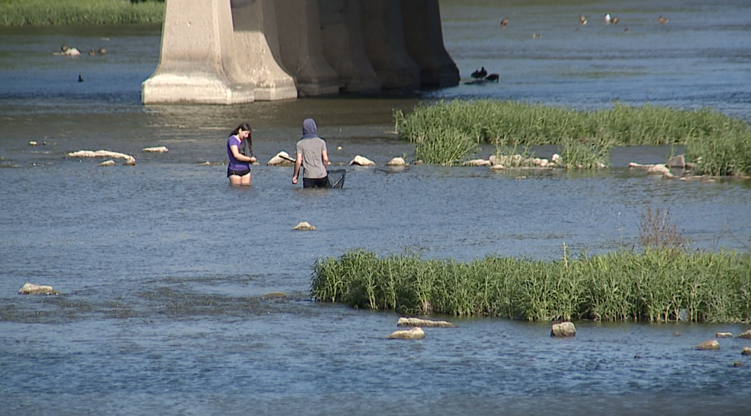 People is the River Raisin despite high levels of E. coli