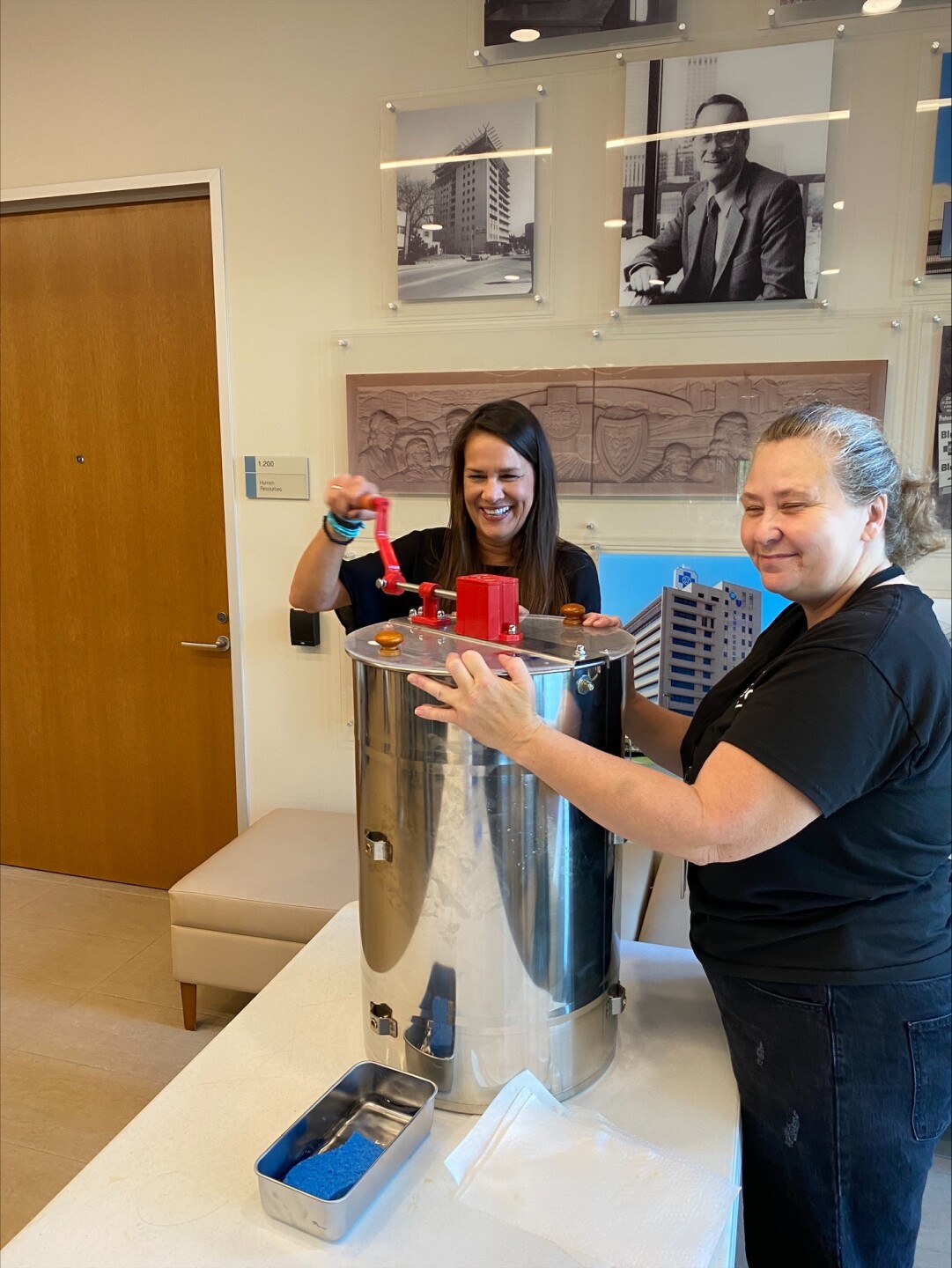 save the honey bees 2.jpeg