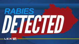 Rabies Detected