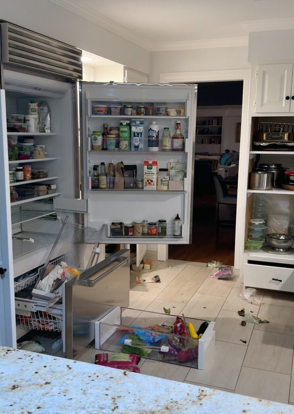 bear in boulder house damage_Marni Pogachefsky