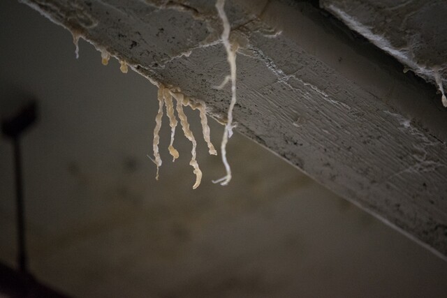 Salt brine drips down from basement beams from the first floor of Cincinnati's municipal garage where salt trucks are repaired. Photo: 2016.