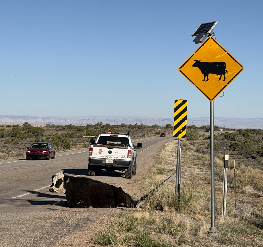 Screenshot 2026-03-25 151713.png