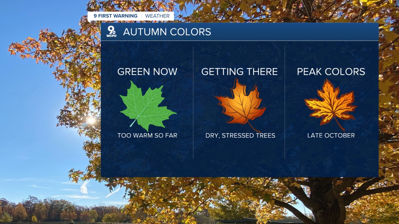 Fall colors delayed