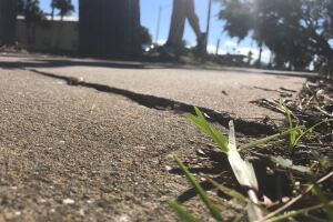 sidewalk crack