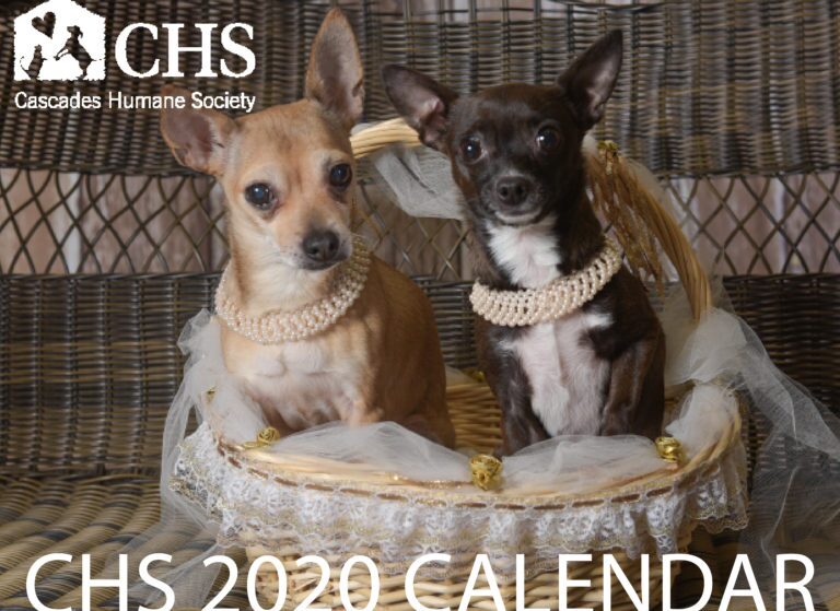 2020 MODEL SEARCH FOR THE 2021 CHS CALENDAR