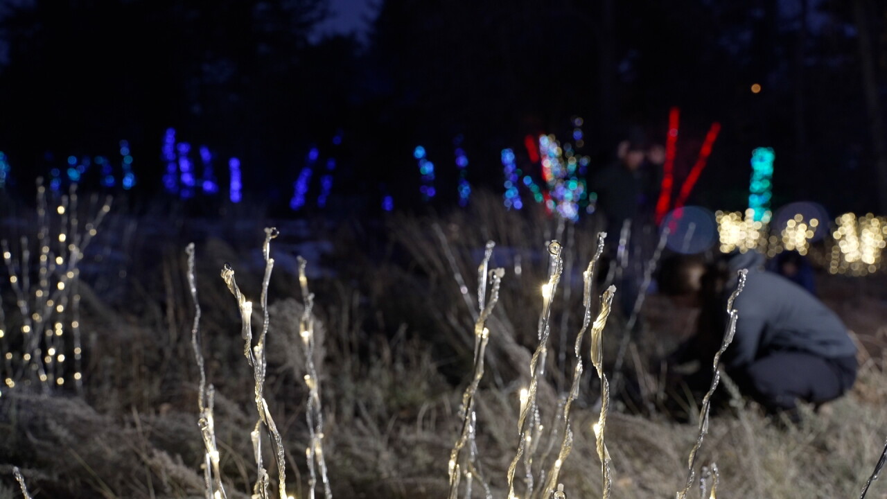 Denver Botanic Gardens Blossoms of Light