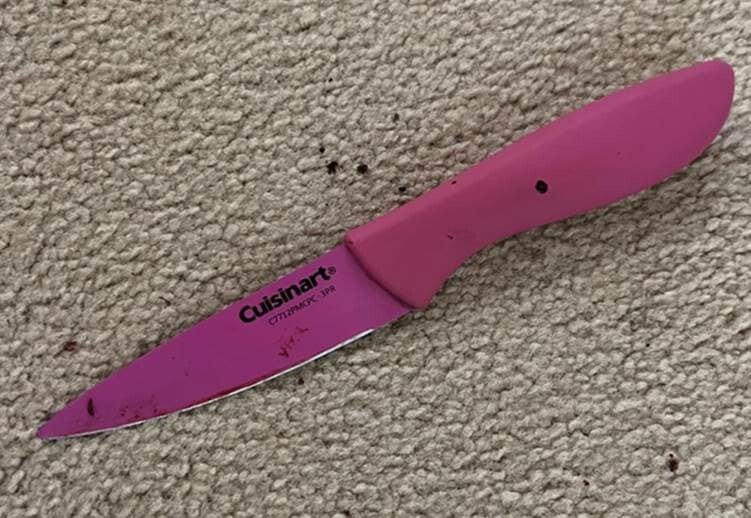 Cuisinart knife that Palm Beach County Sheriff's Office claims suicidal man held as he threatened to kill his mother, Oct. 4, 2022