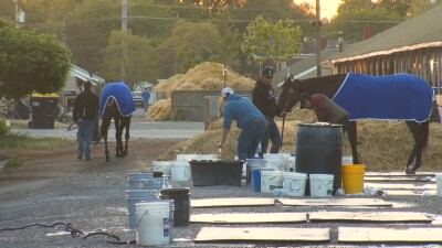 The Backbones of the Stable
