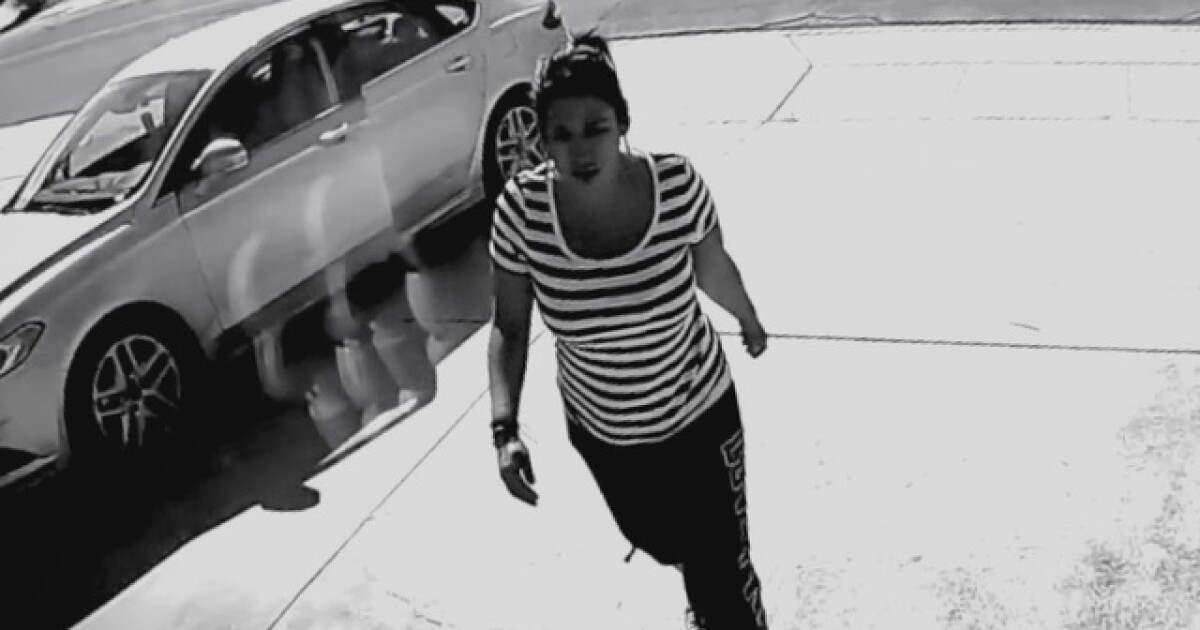 Burglar caught on camera stealing