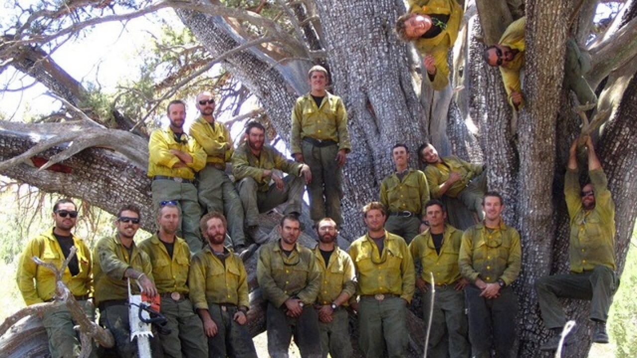 Hotshots Hotshots