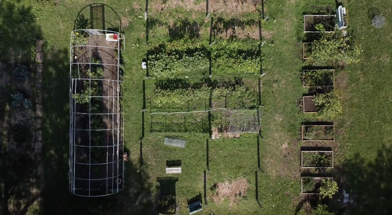 urban farms