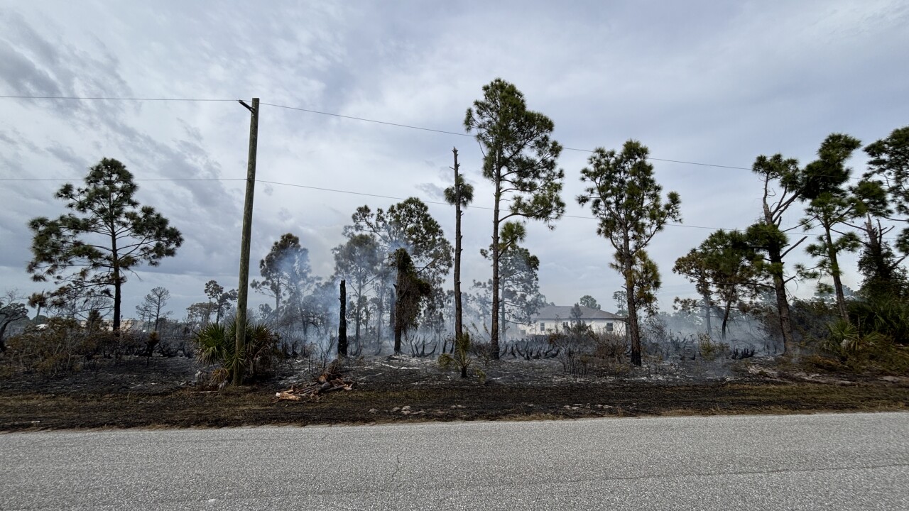 Gulf Cove brush fire