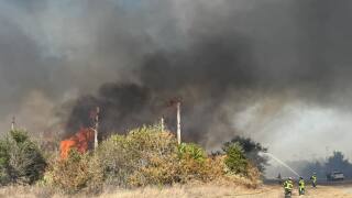 North Port brush fire